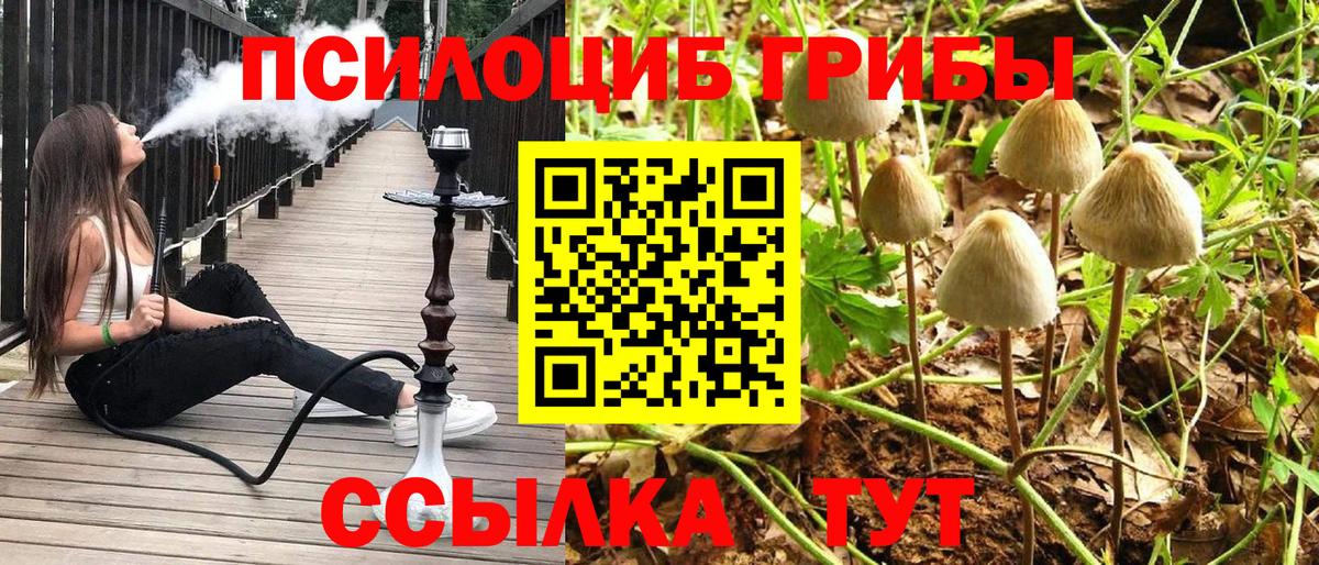 Галлюциногенные грибы Psilocybine cubensis Бахчисарай