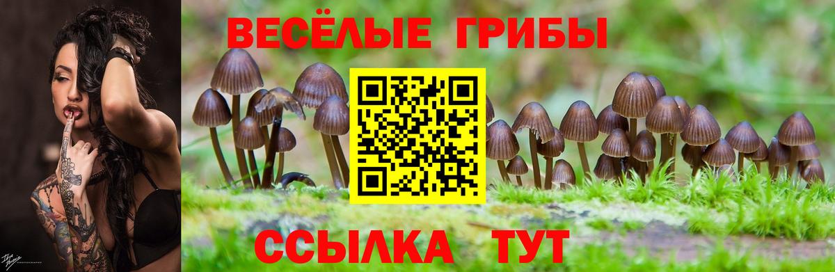 что такое   Вход с VPN  Бахчисарай  Галлюциногенные грибы прущие грибы 